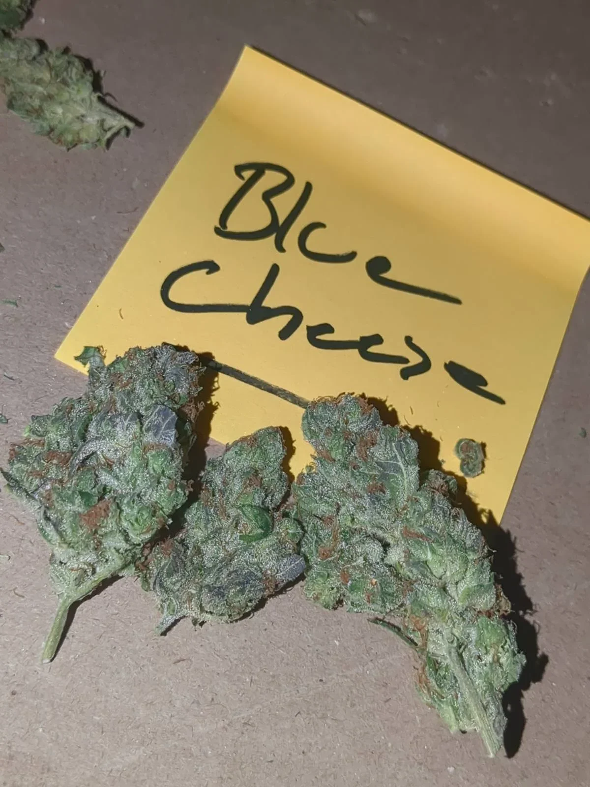 Blue Cheese