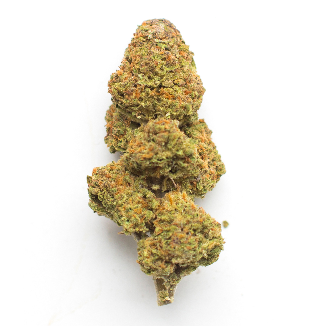 Cali Cheese Strain