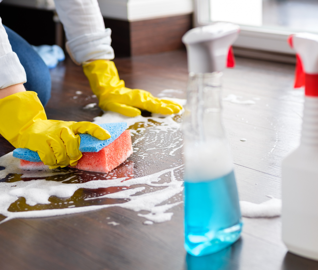 What Makes a Great House Cleaning Company