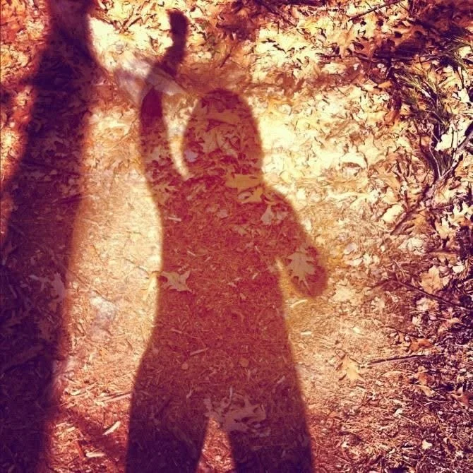 Forest Bathing &amp; Nature-Made Wellness:  Nature’s Nurturing