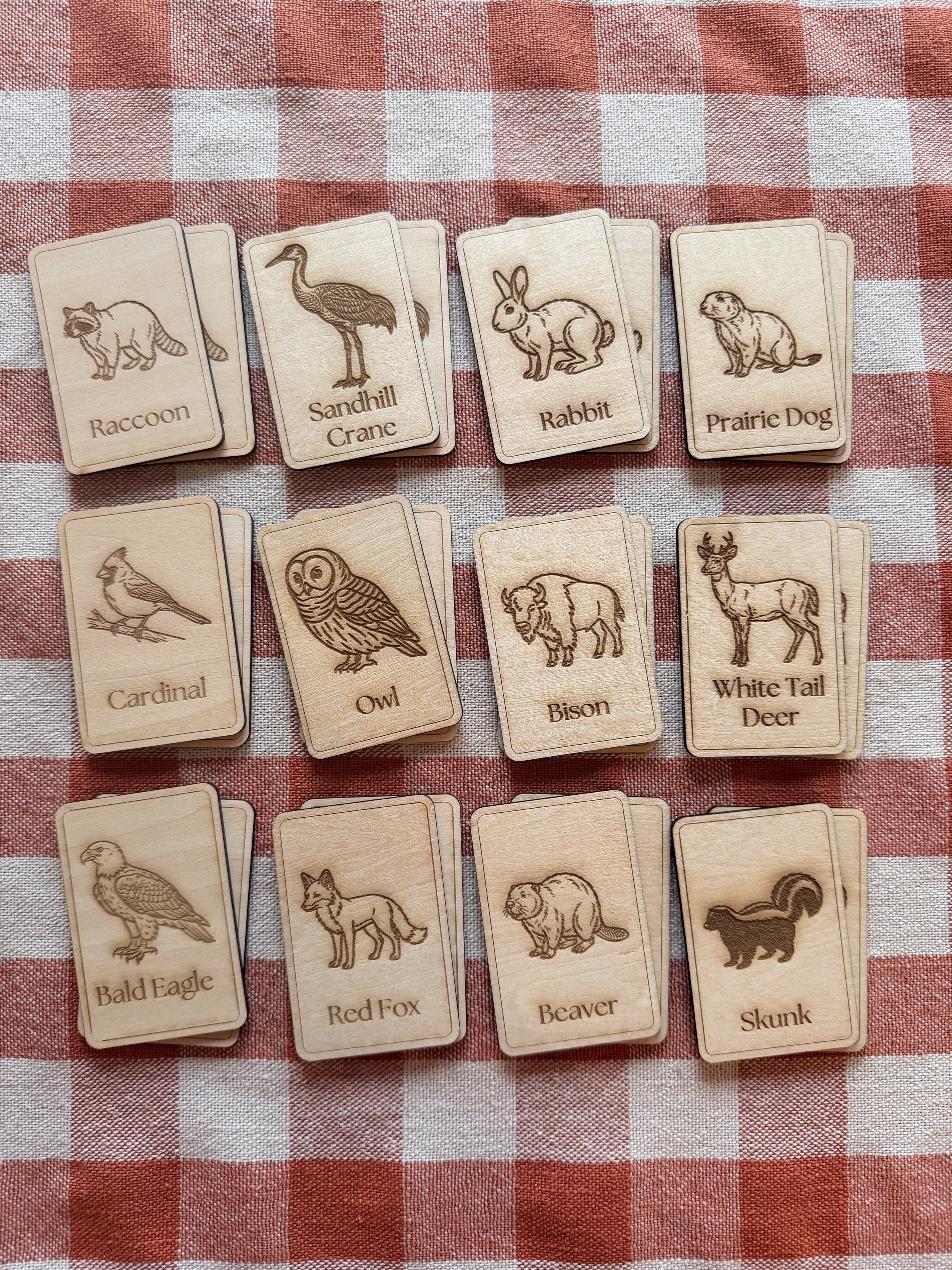 Wooden Wildlife Identification Card Set (24 Pieces)