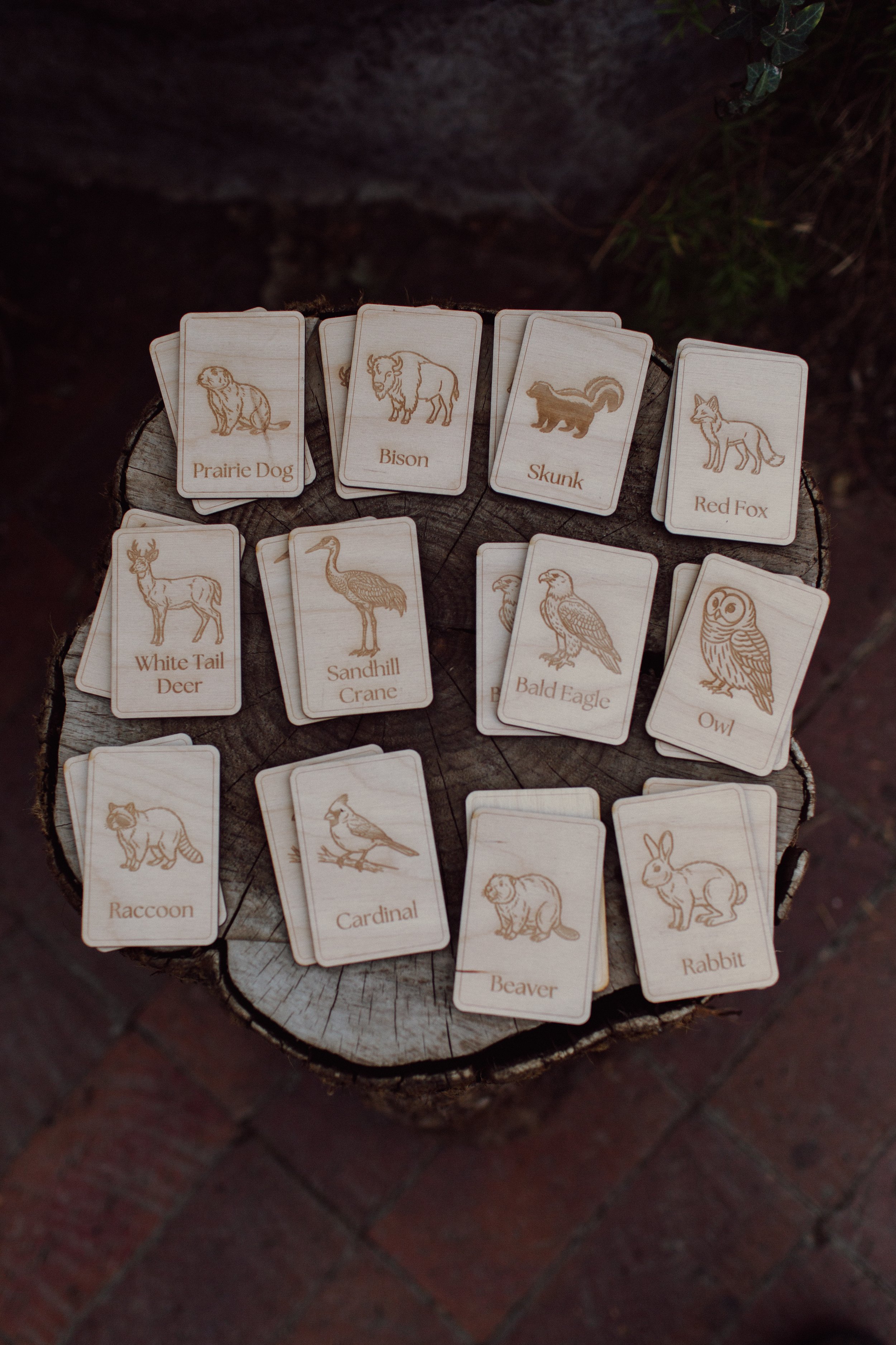 Midwest Wildlife Matching Game Card Set (24 Pieces)