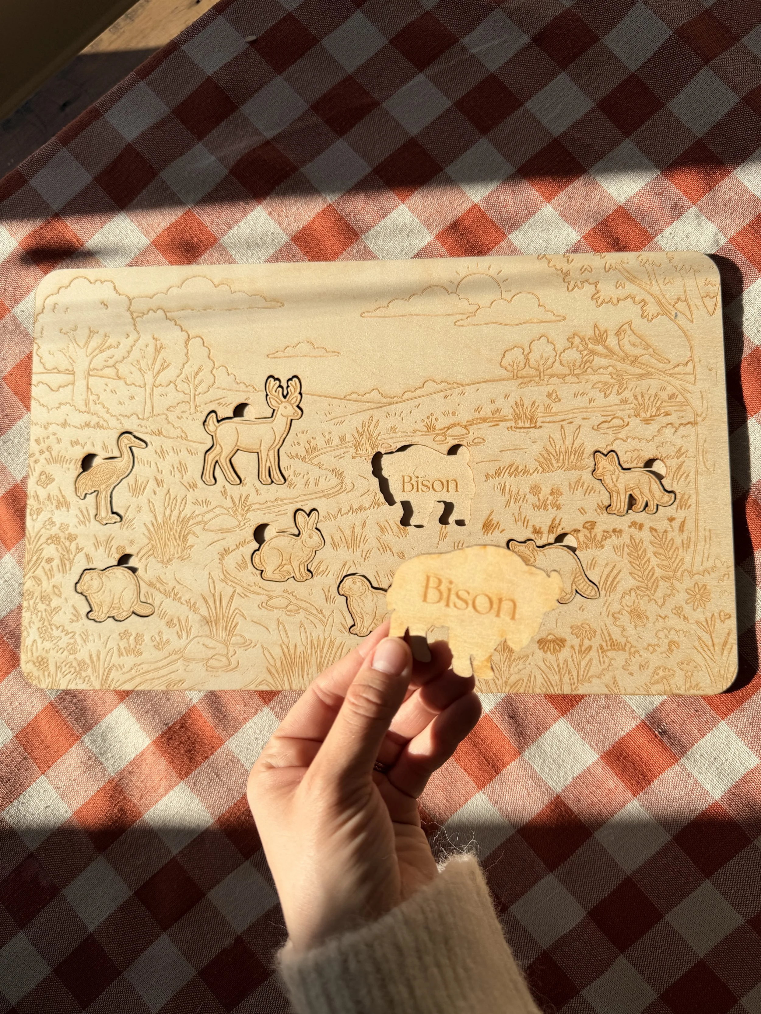 Puzzle with Piece out.jpeg