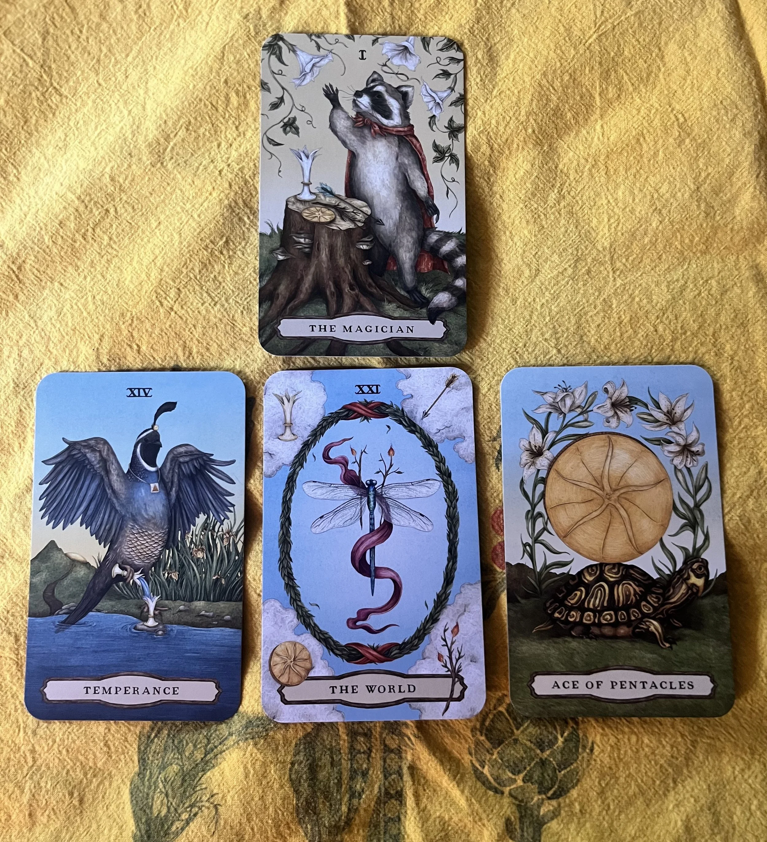 Iris X Reading of the Week/Week beginning on May 4, 2026: 