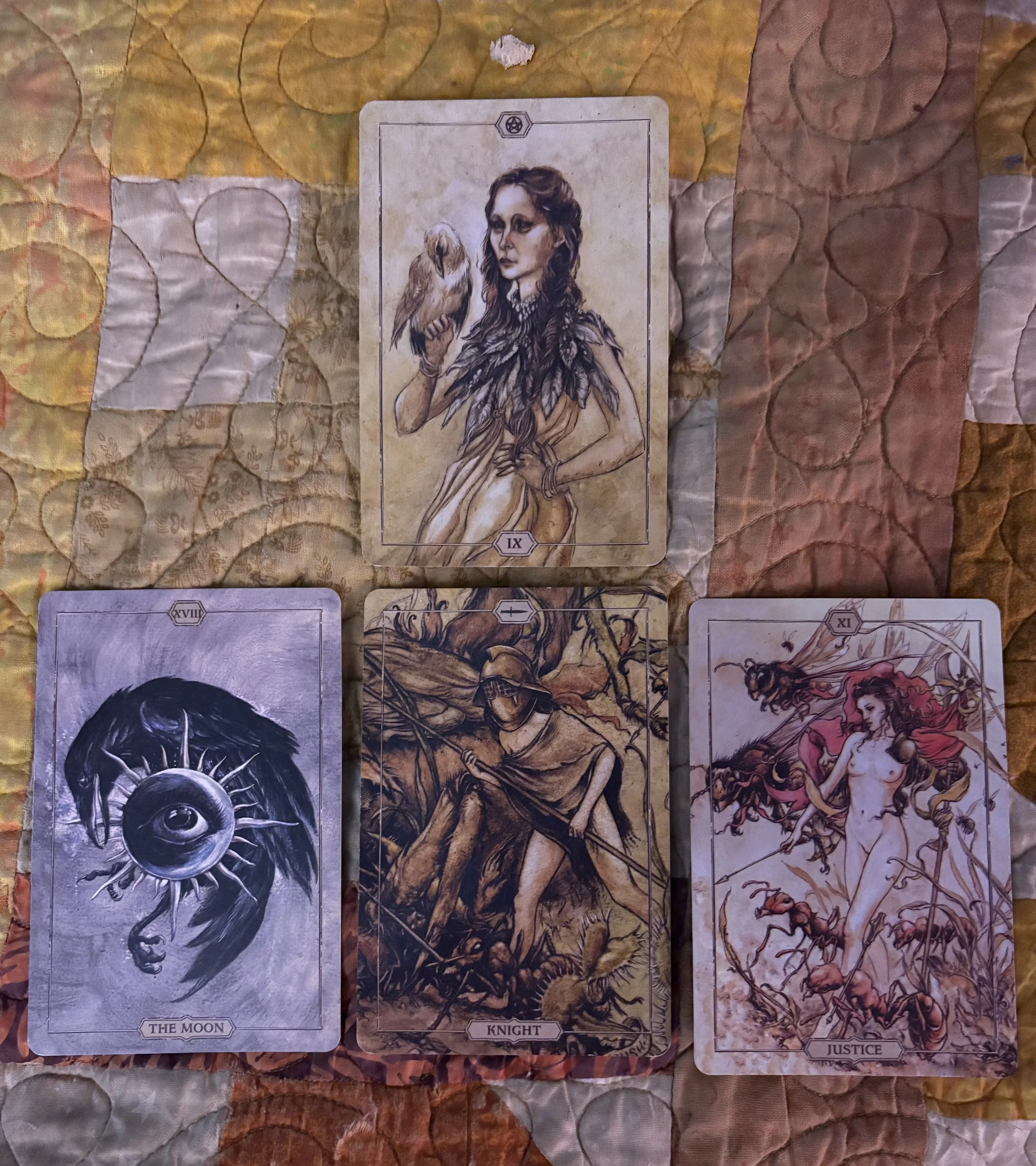 Iris X Reading of the Week/Week beginning on 8/3/26
