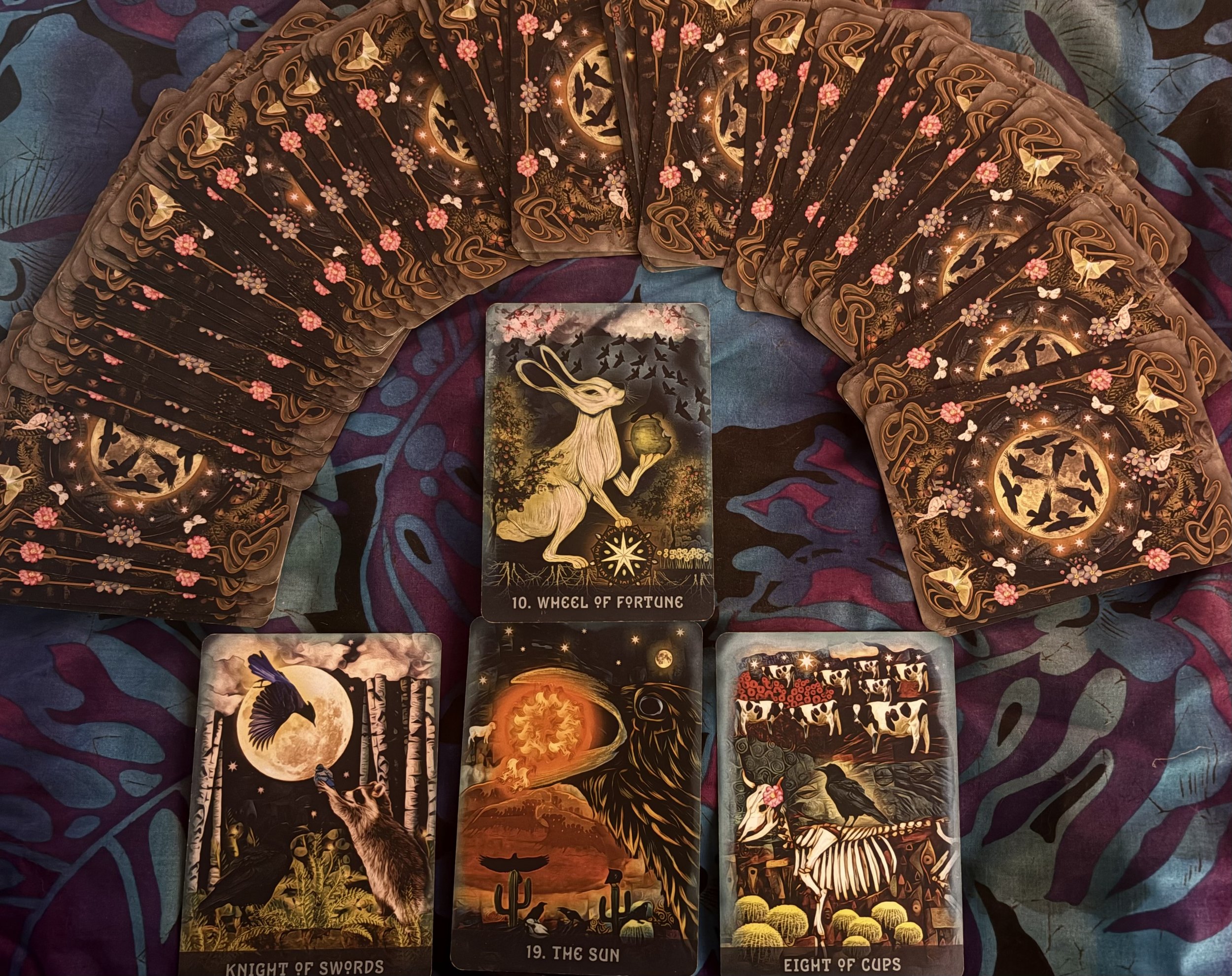 Iris X Reading of the Week/Week beginning on 8/23/26: 
