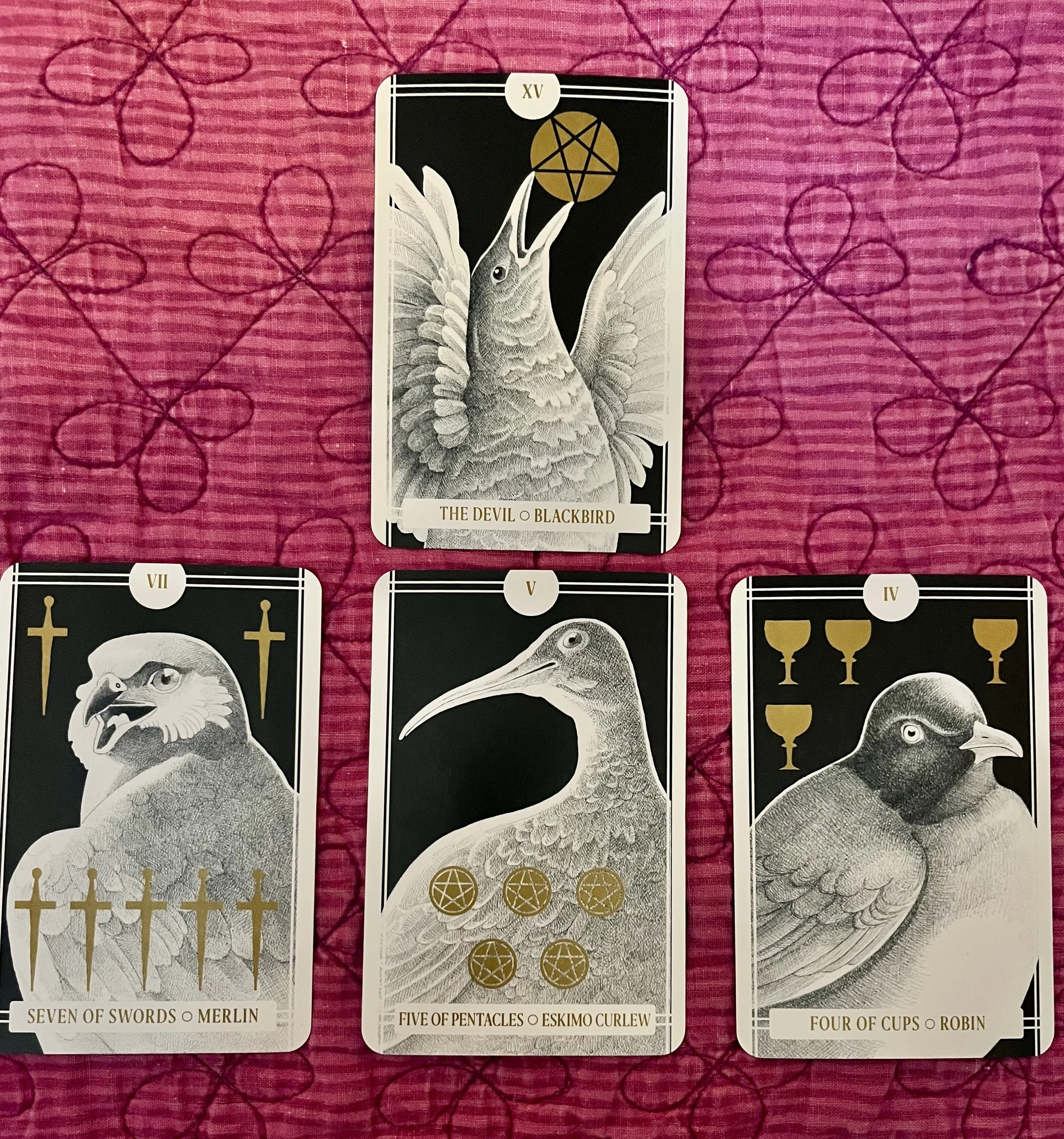 Iris X reading of the week/ week beginning on 2/9/26