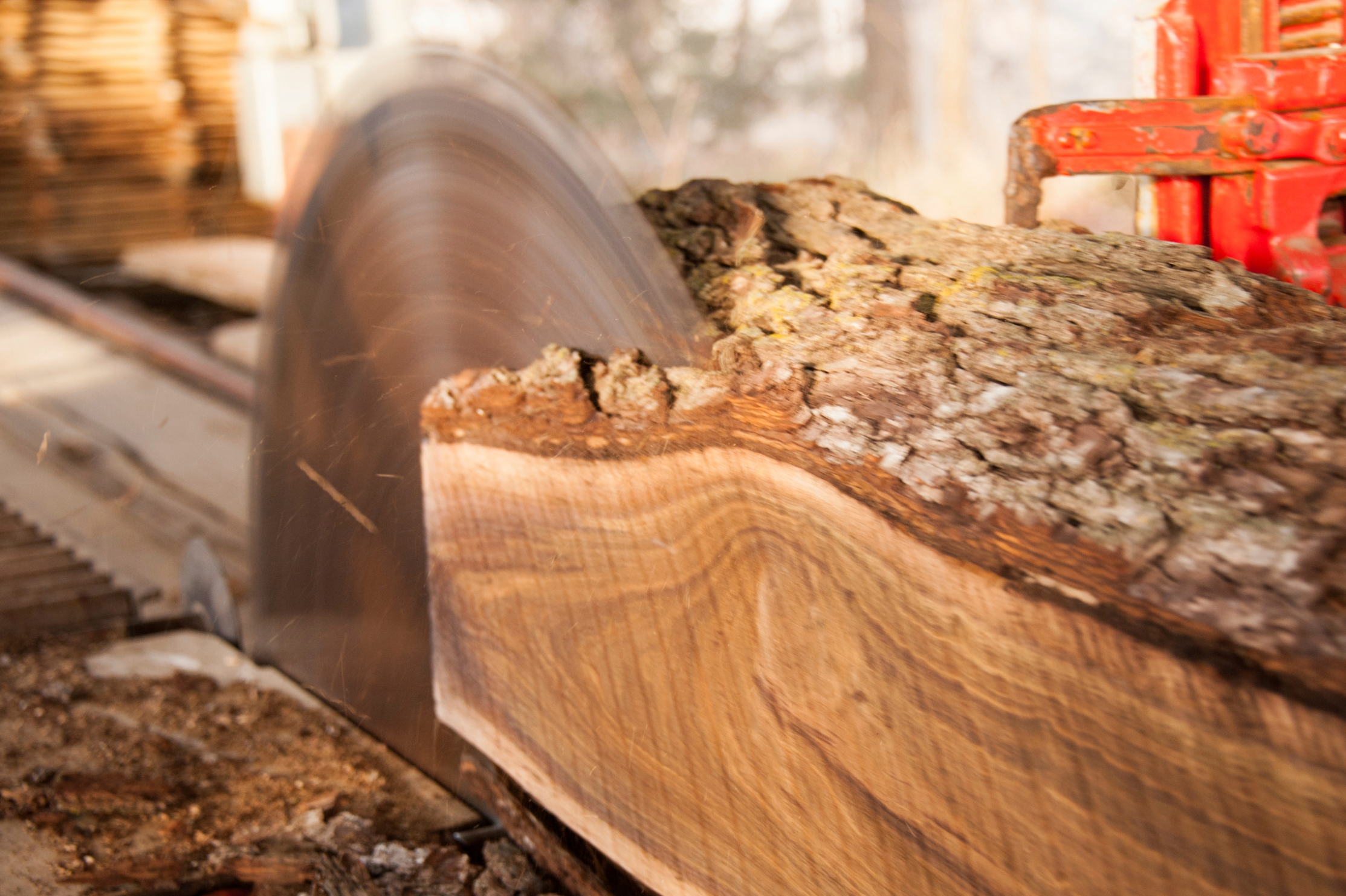 How an Urban Log Becomes Spec-Ready Lumber