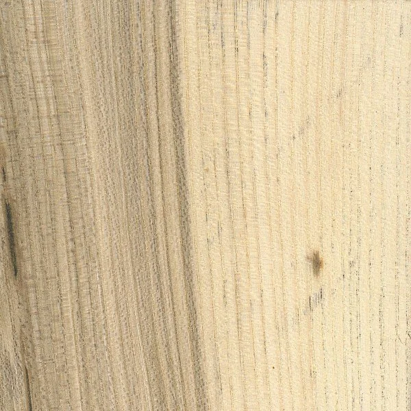 Hackberry