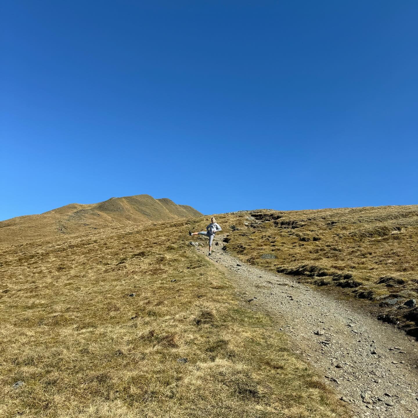 Took my @peachyden capris for a walk