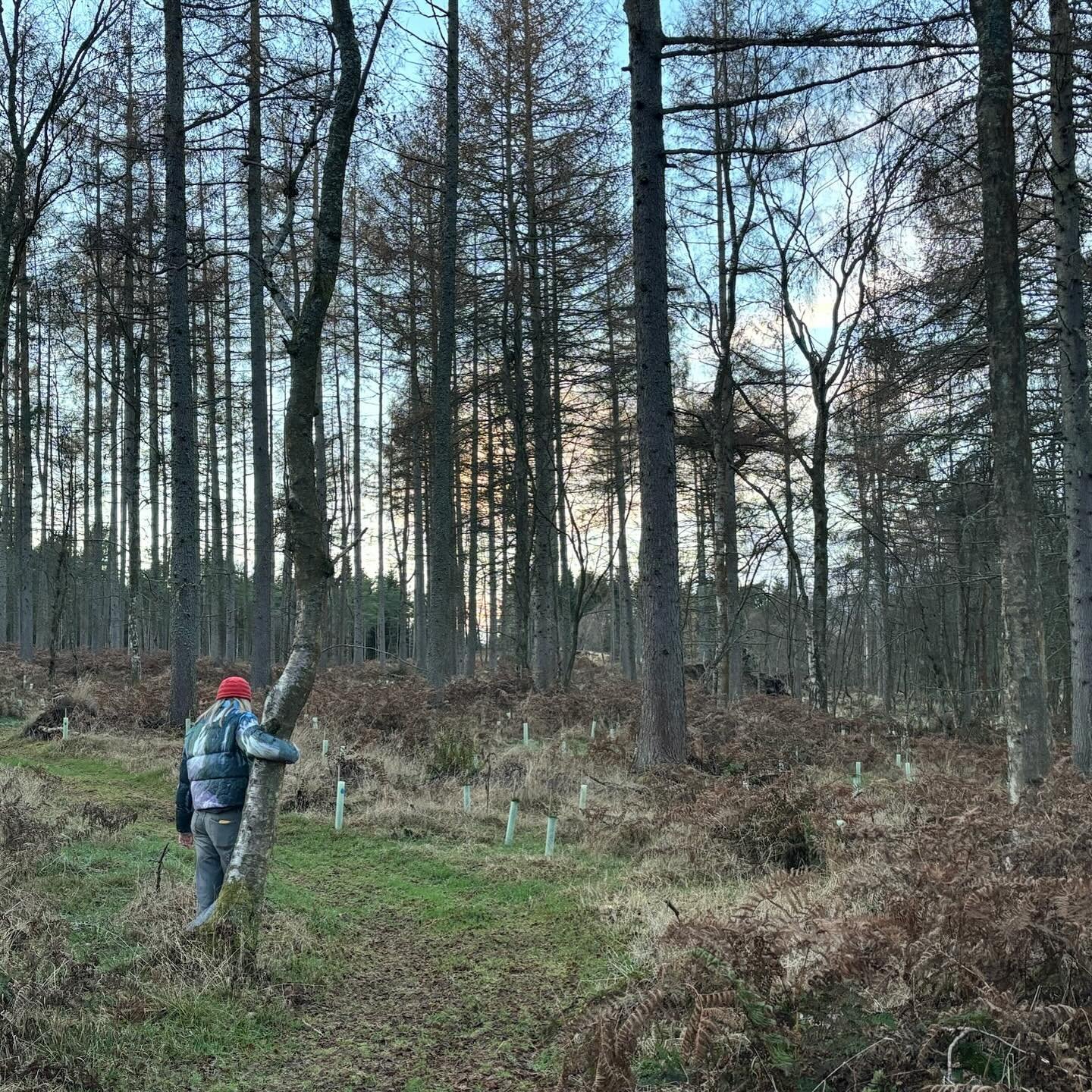 Chauffeur for my talented friends