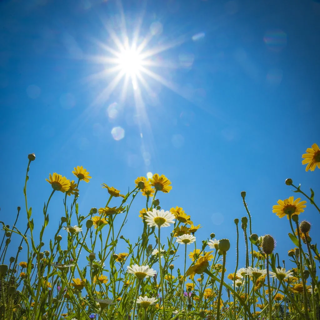 Skin in the sun: your summer guide to serums, protection, and staying safe in the heat