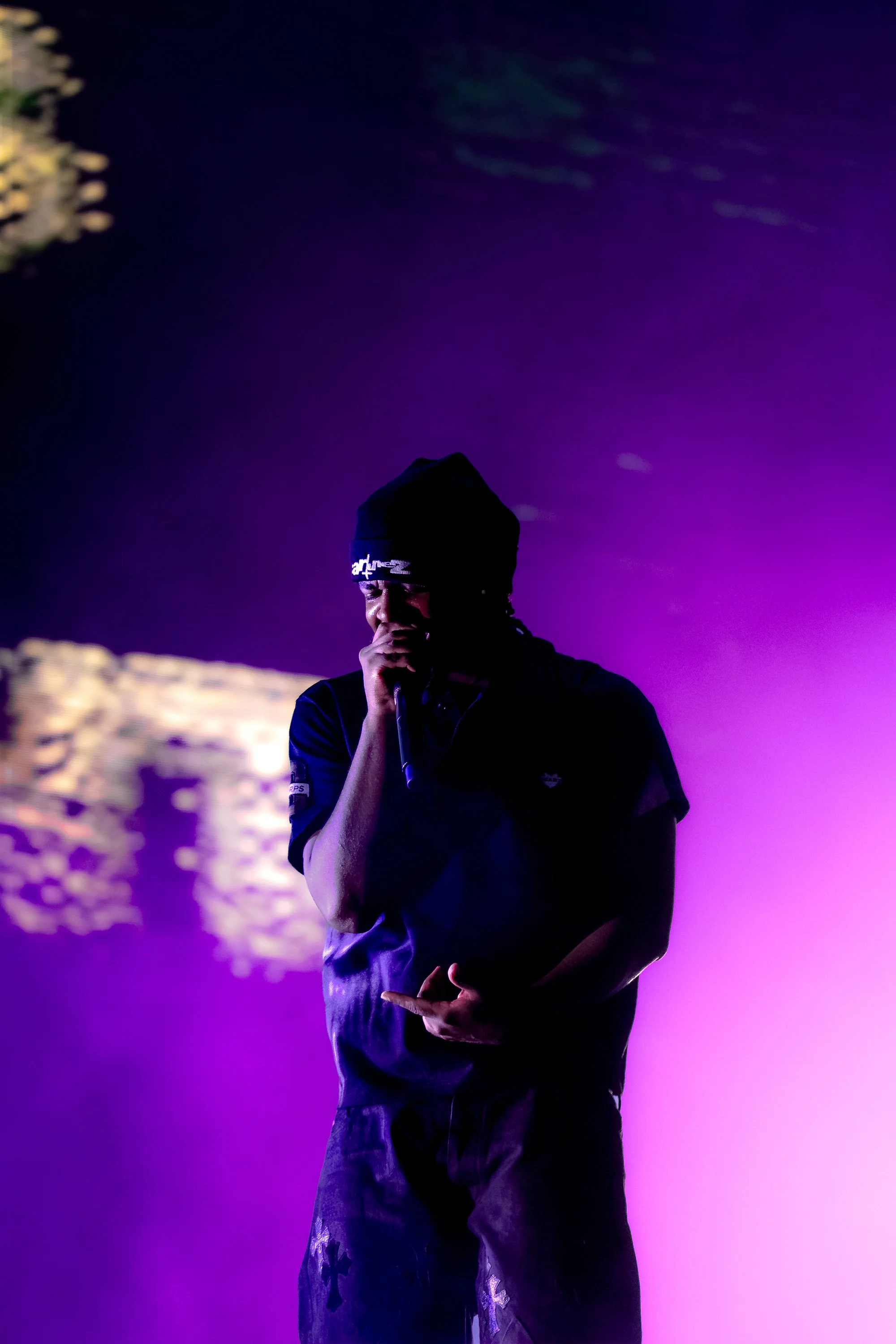DSC01293.jpg