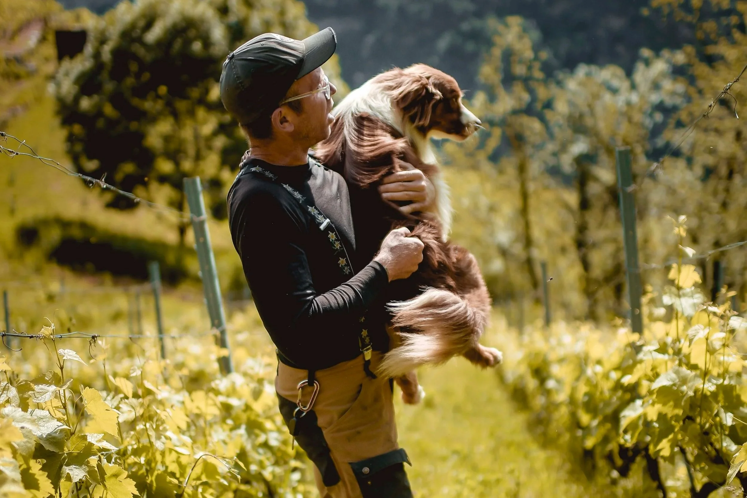 Julien Guillon holding a dog in a vineyard during daytime.