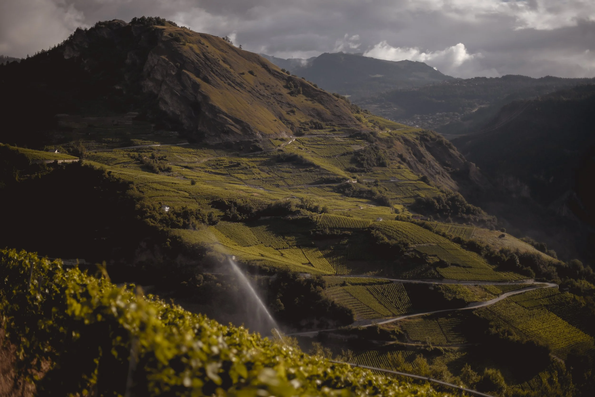 Landscape view of a hilly countryside with terraced vineyards, winding roads, and a mountain in the background under a cloudy sky.