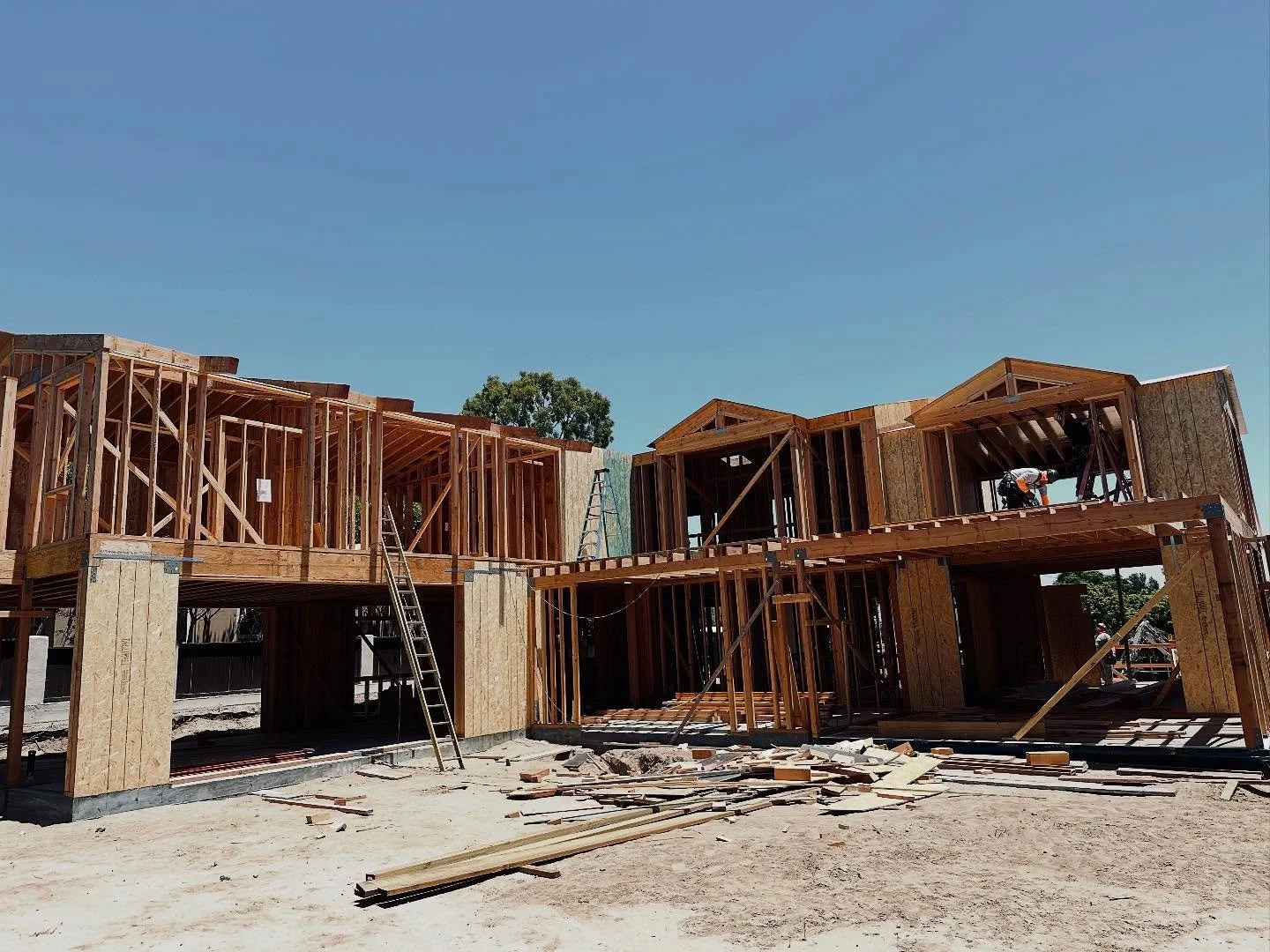 During ➡️ After 
Double lot in the tree section of Manhattan Beach, completed last summer.