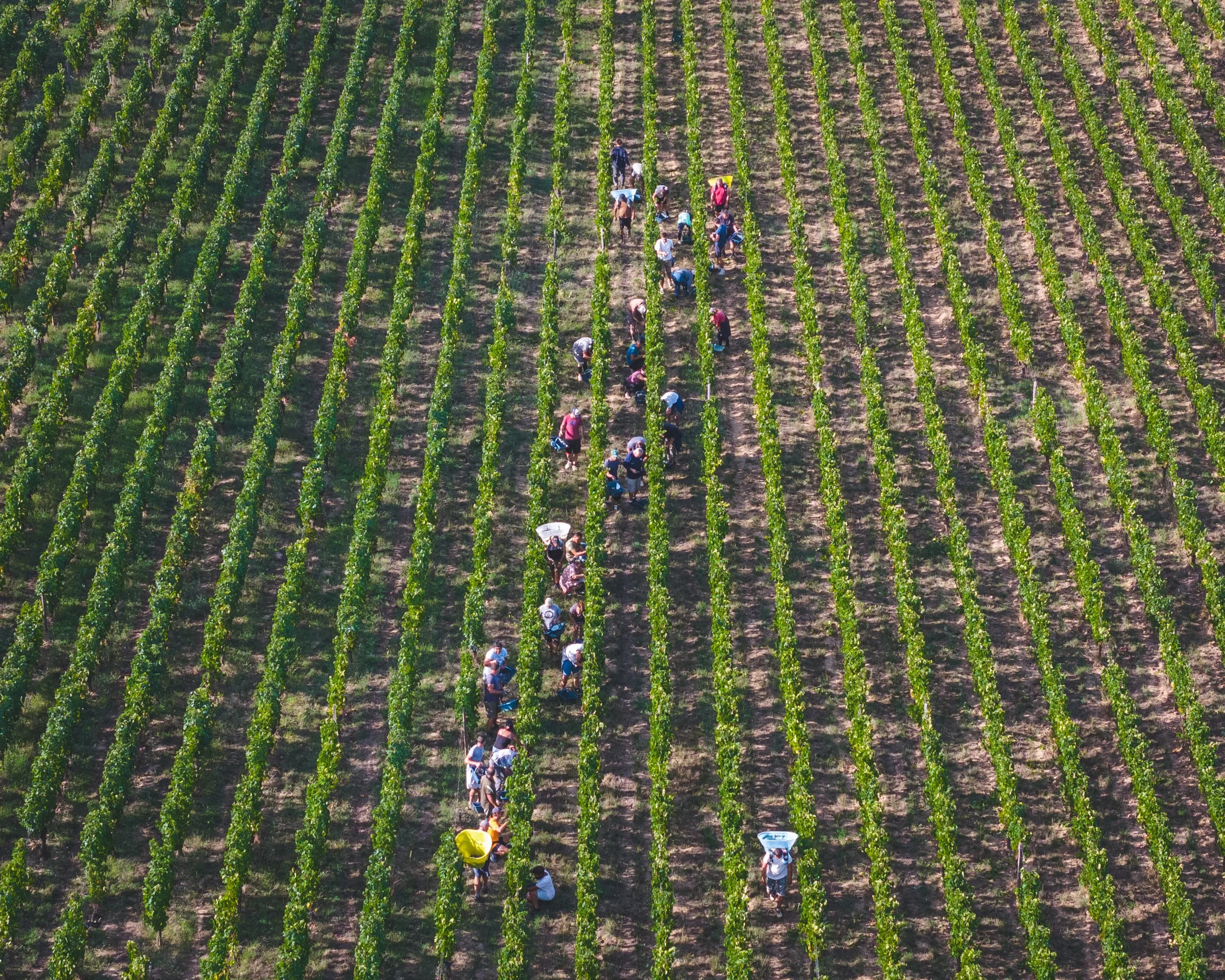 DJI_20260902121501_0173_D.jpg
