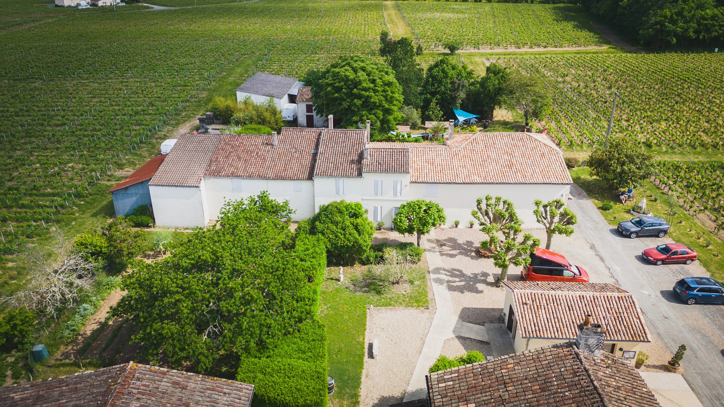 DJI_20260501181931_0039_D.jpg