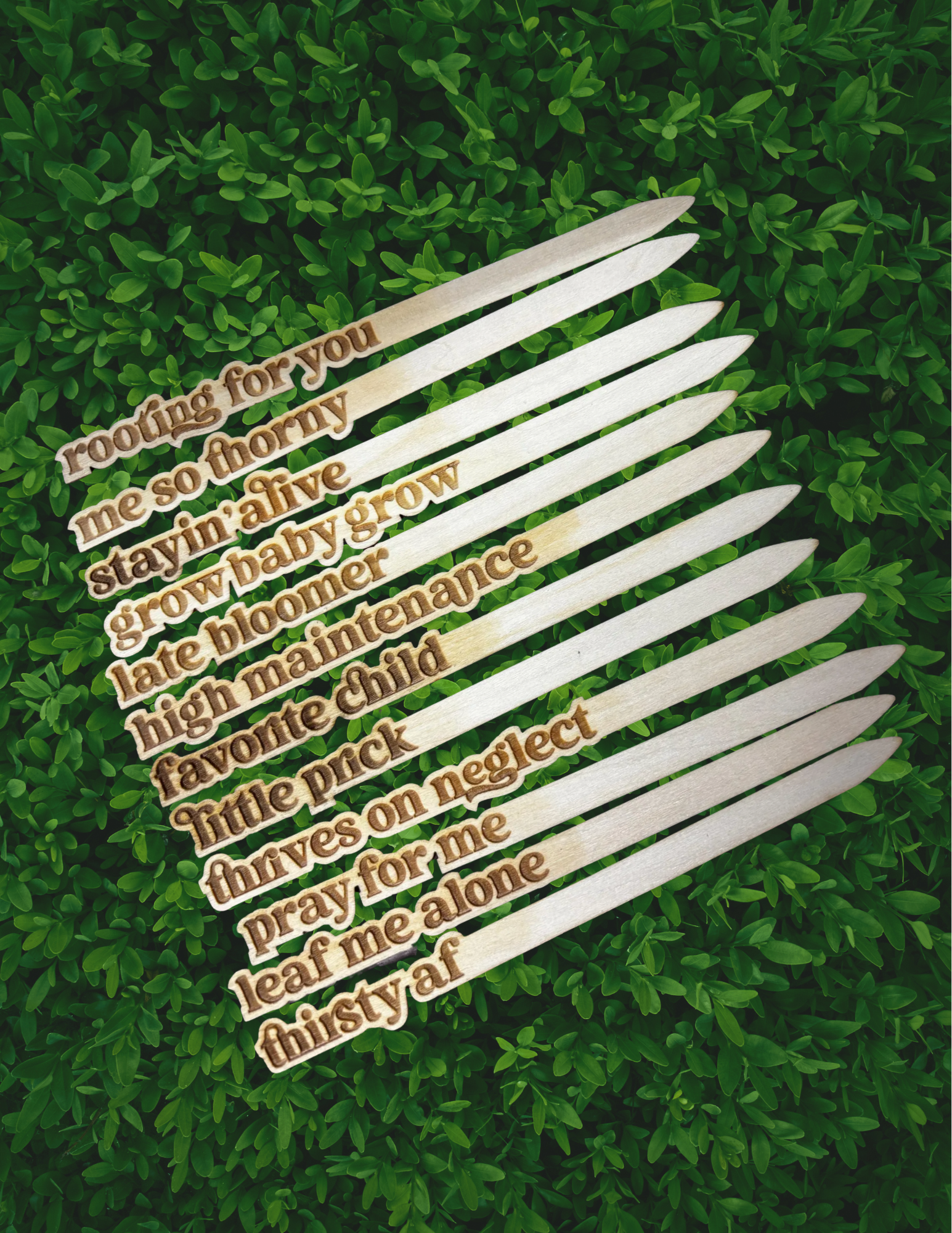 stake set one.png