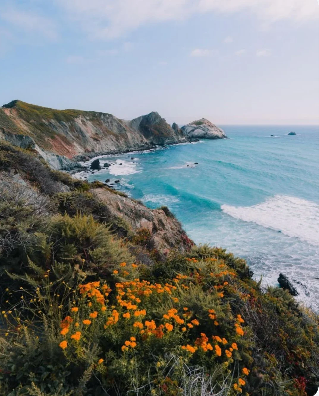 Coastal landscape with colorful cliffs, ocean waves, and orange flowers in the foreground.