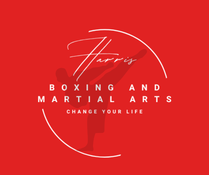 Red background with white text and a silhouette of a person performing a martial arts kick. The text reads 'Harry's Boxing and Martial Arts' and 'Change Your Life'.