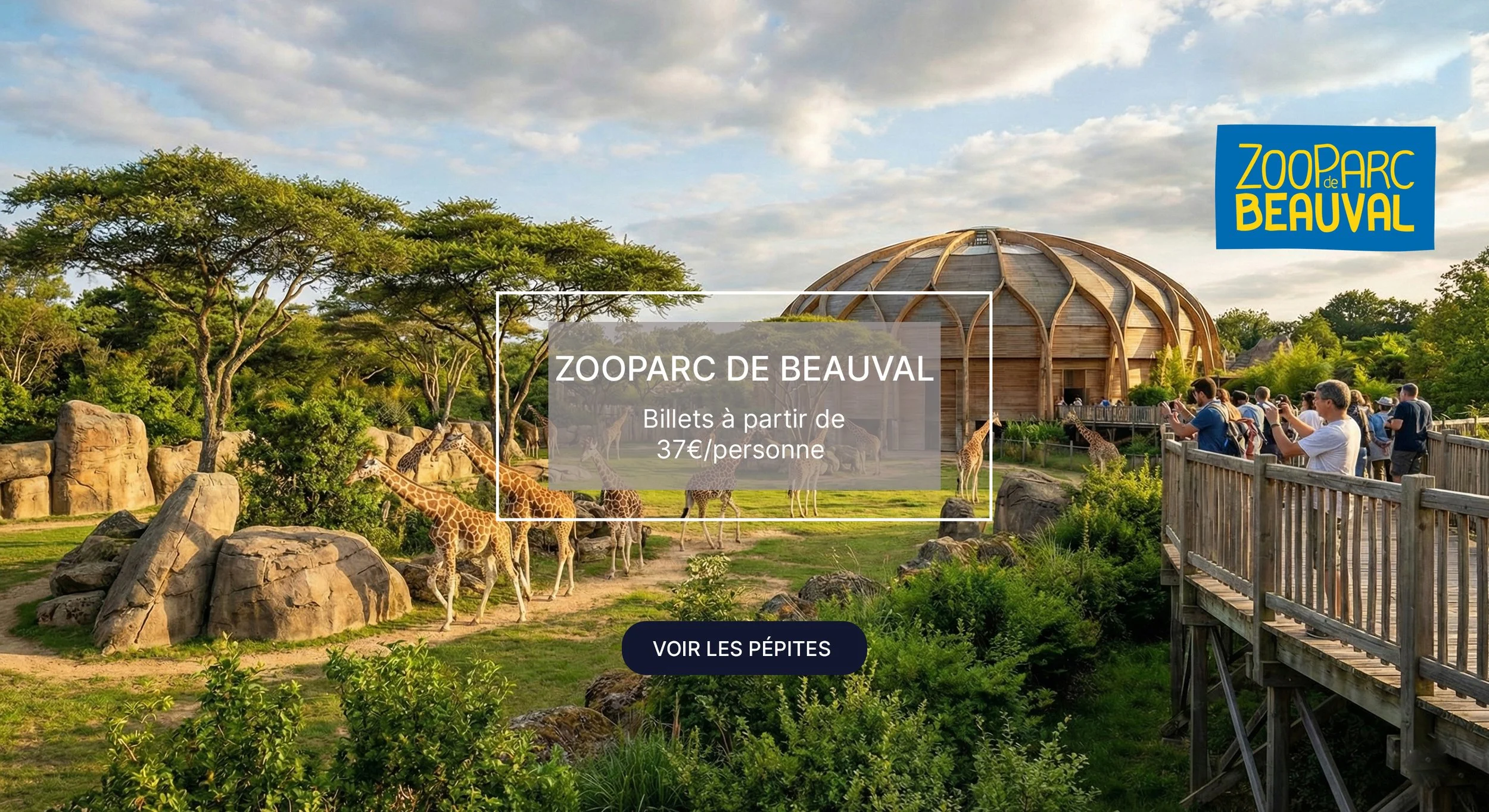 Photo du Zoo de Beauval avec une enclosure géante en forme de dôme en bois, où se trouvent des girafes et des animaux sauvages, avec des visiteurs prenant des photos sur une plateforme en bois. Arbres verdoyants et ciel en partie nuageux.