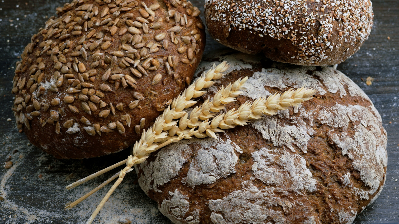 Bold Truth: Carbs Aren’t Your Problem (And Bread Isn’t the Villain)
