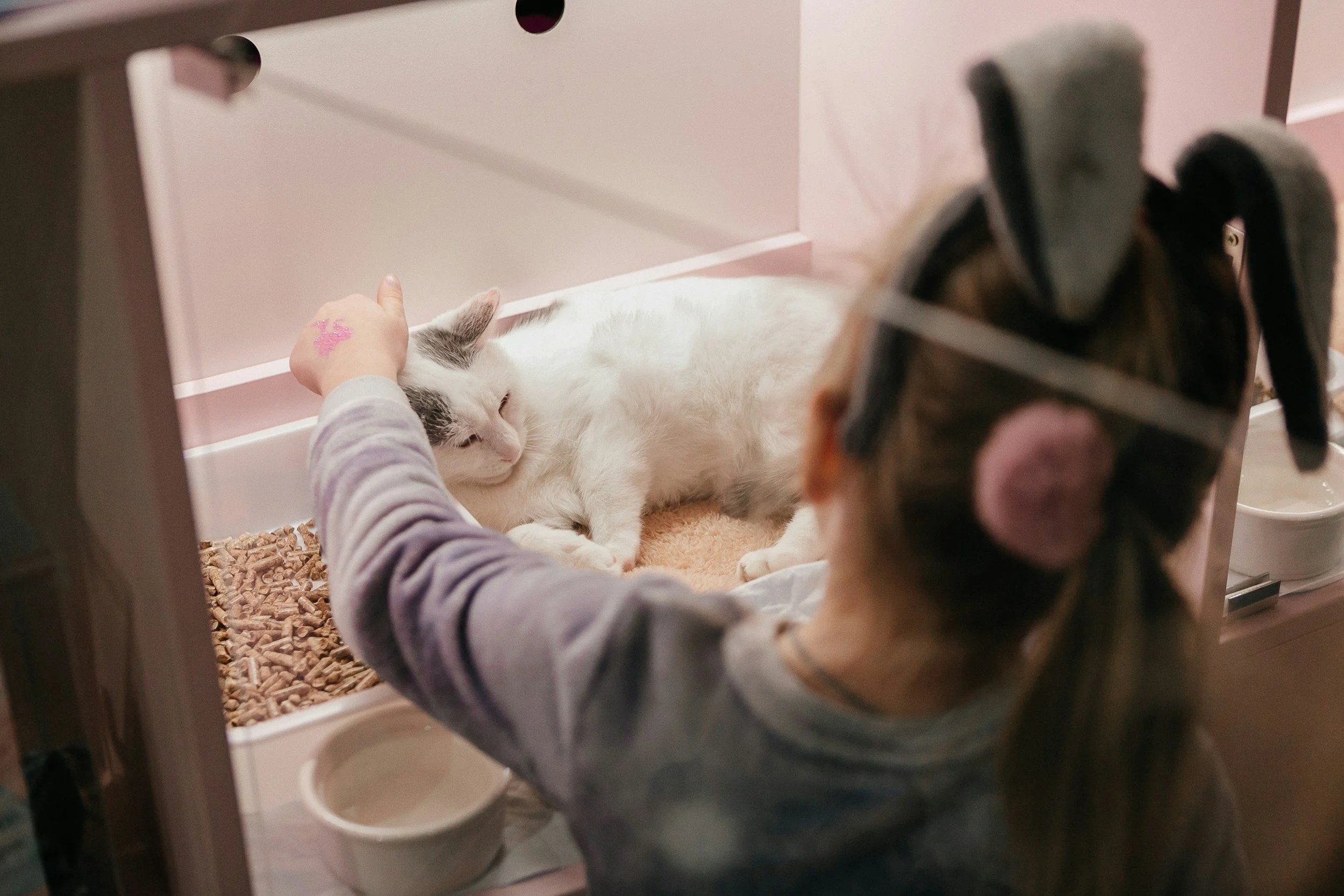 A girl petting a white and black cat inside a pink cat enclosure.