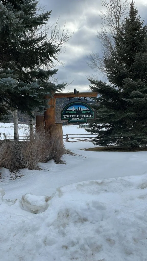 Subdivision Spotlight – Triple Tree