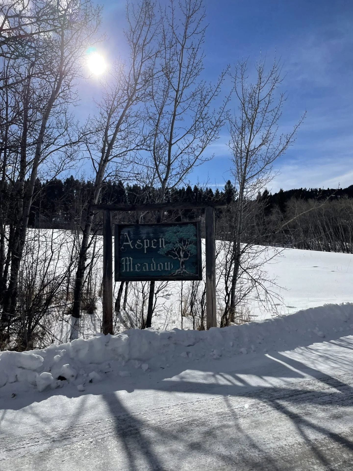 Subdivision Spotlight – Aspen Meadows
