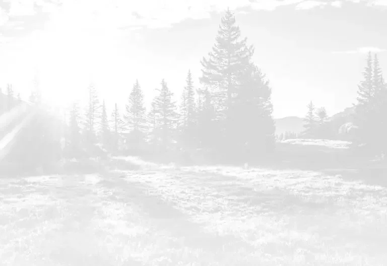 Neighborhood Profile: Manley Meadows, Bozeman