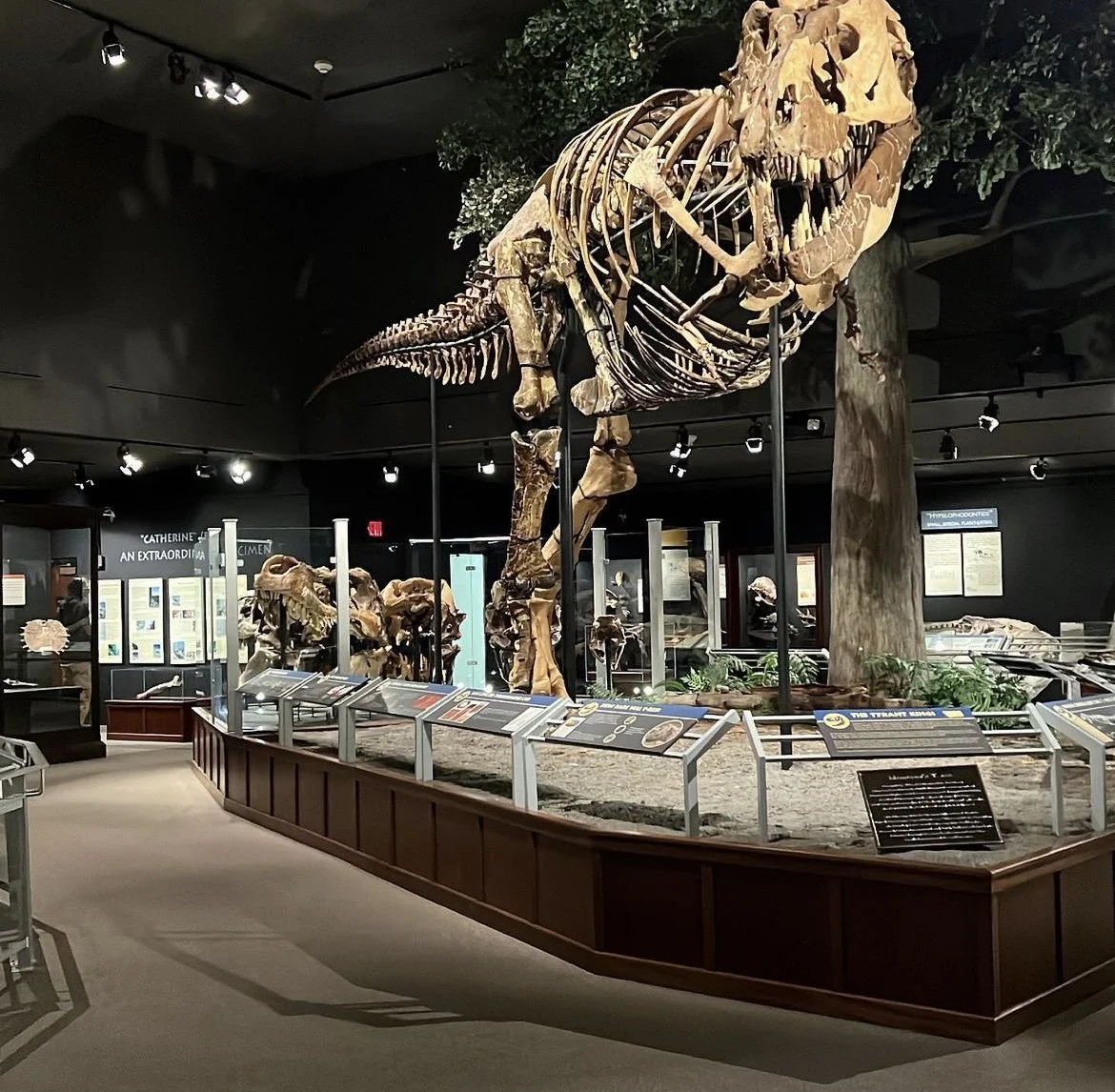 Knoff Group Presents: Our Favorite Museums in Bozeman, Big Sky, &amp; Livingston