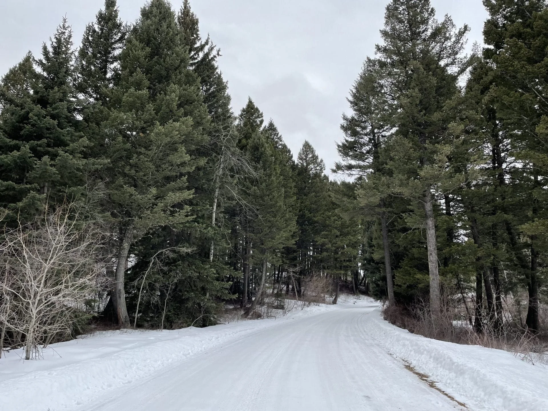 Subdivision Spotlight – Martinez Springs