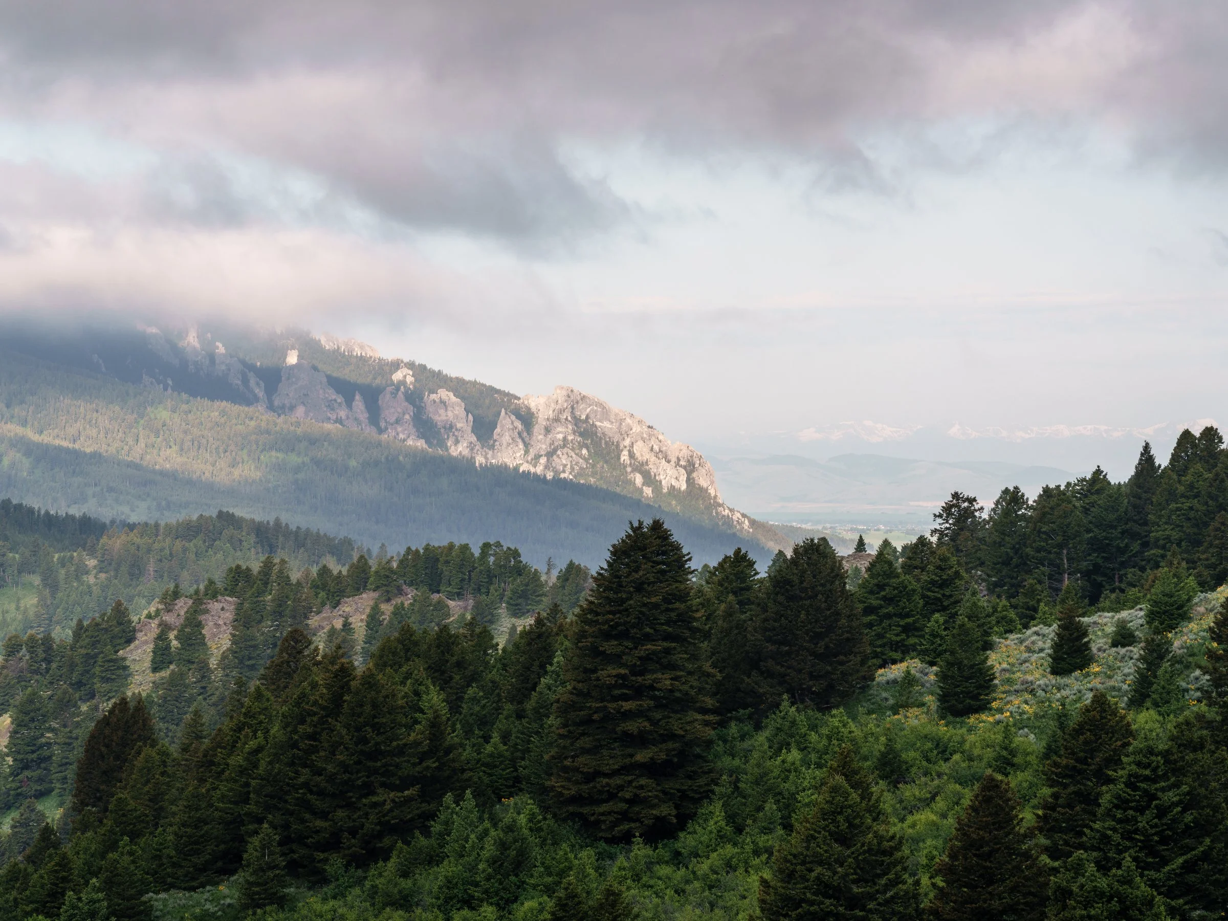 8-1-2 View Frog rock 449minnihall_summer-37.jpg