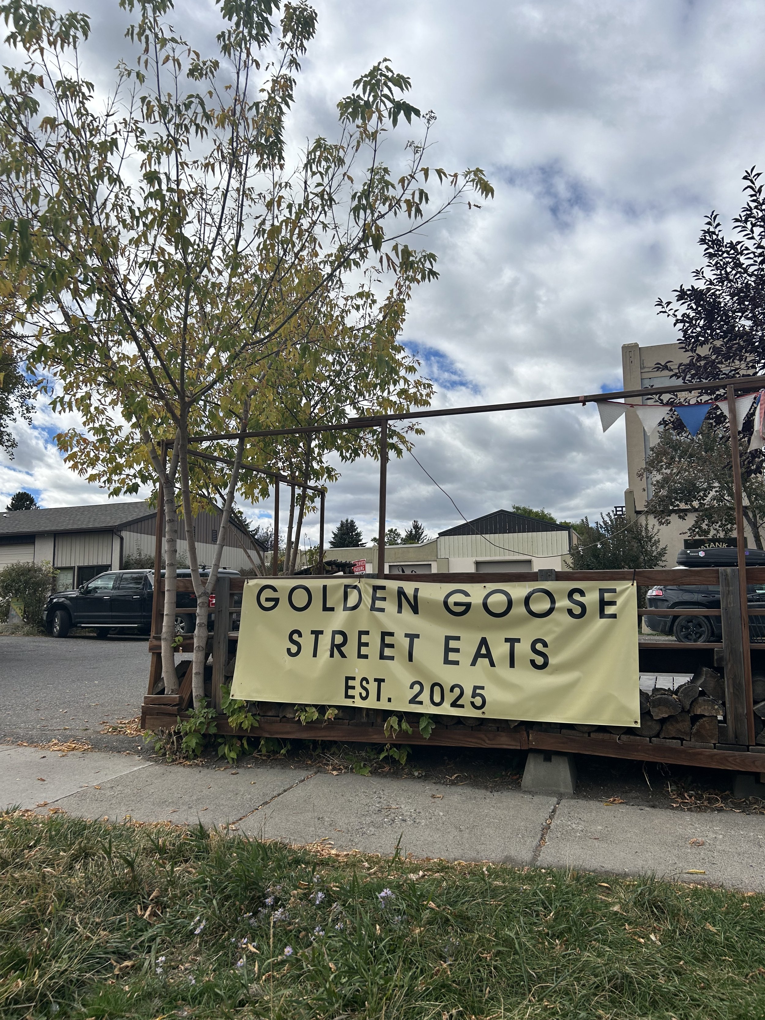 Golden Goose