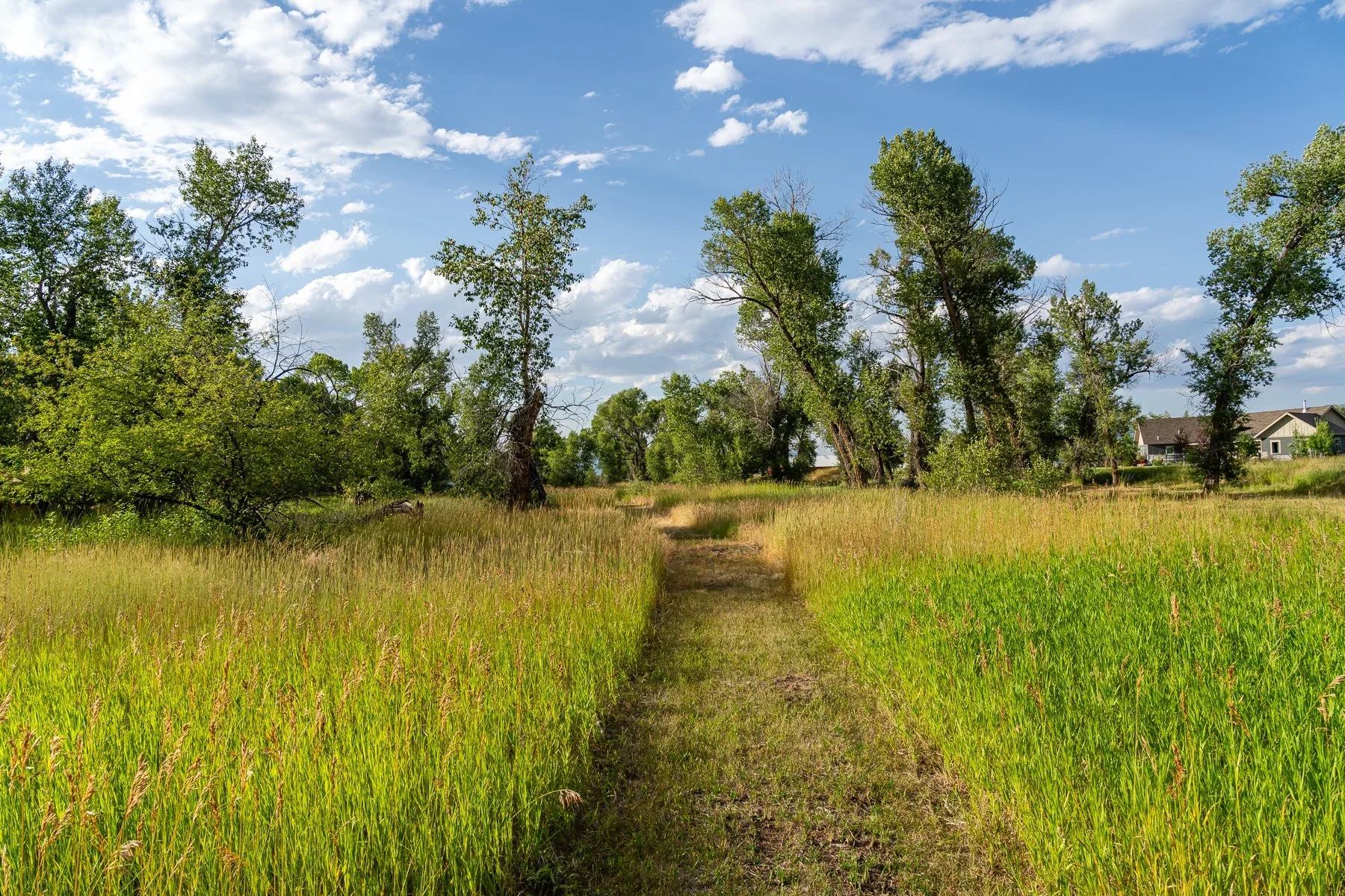 Lot 15A, TBD Riverway Rd | Gallatin River Farm, Belgrade