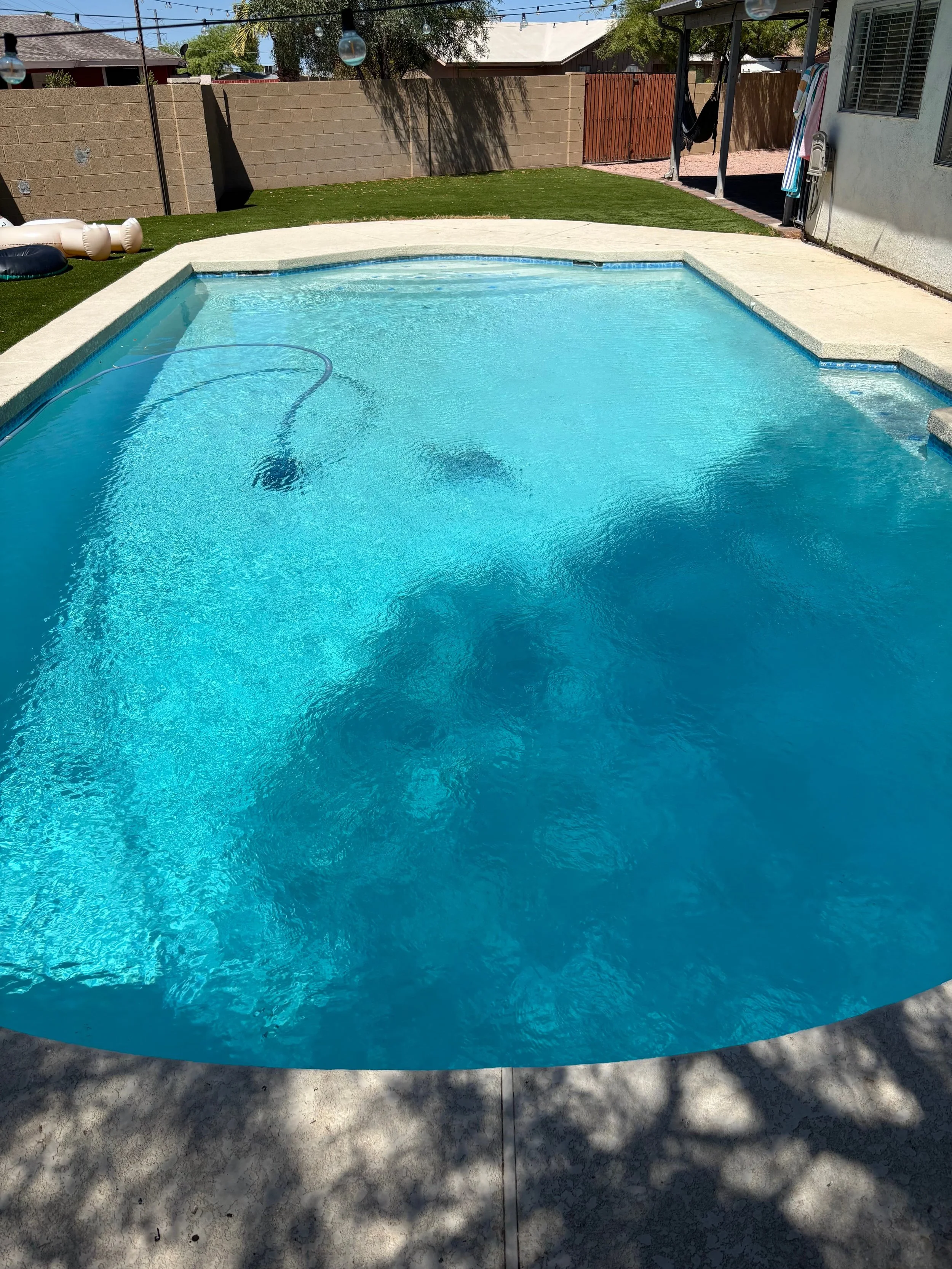 Clear blue swimming pool with a cleaning hose inside, surrounded by concrete deck, in a backyard with a brown brick wall, some grass, and outdoor furniture.