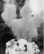 Gender Reveal Cannon