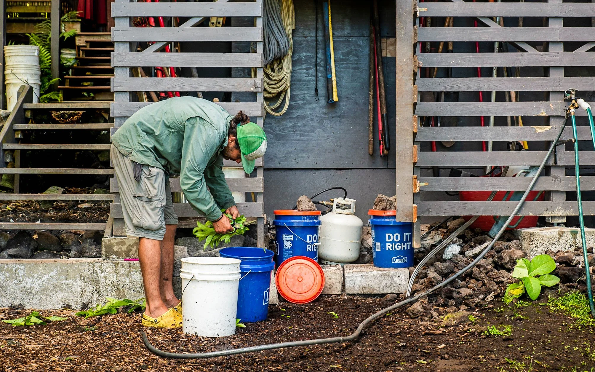 A person wearing a green hat, green jacket, and gray shorts planting green leafy plants in a garden bed with gardening tools and buckets nearby.