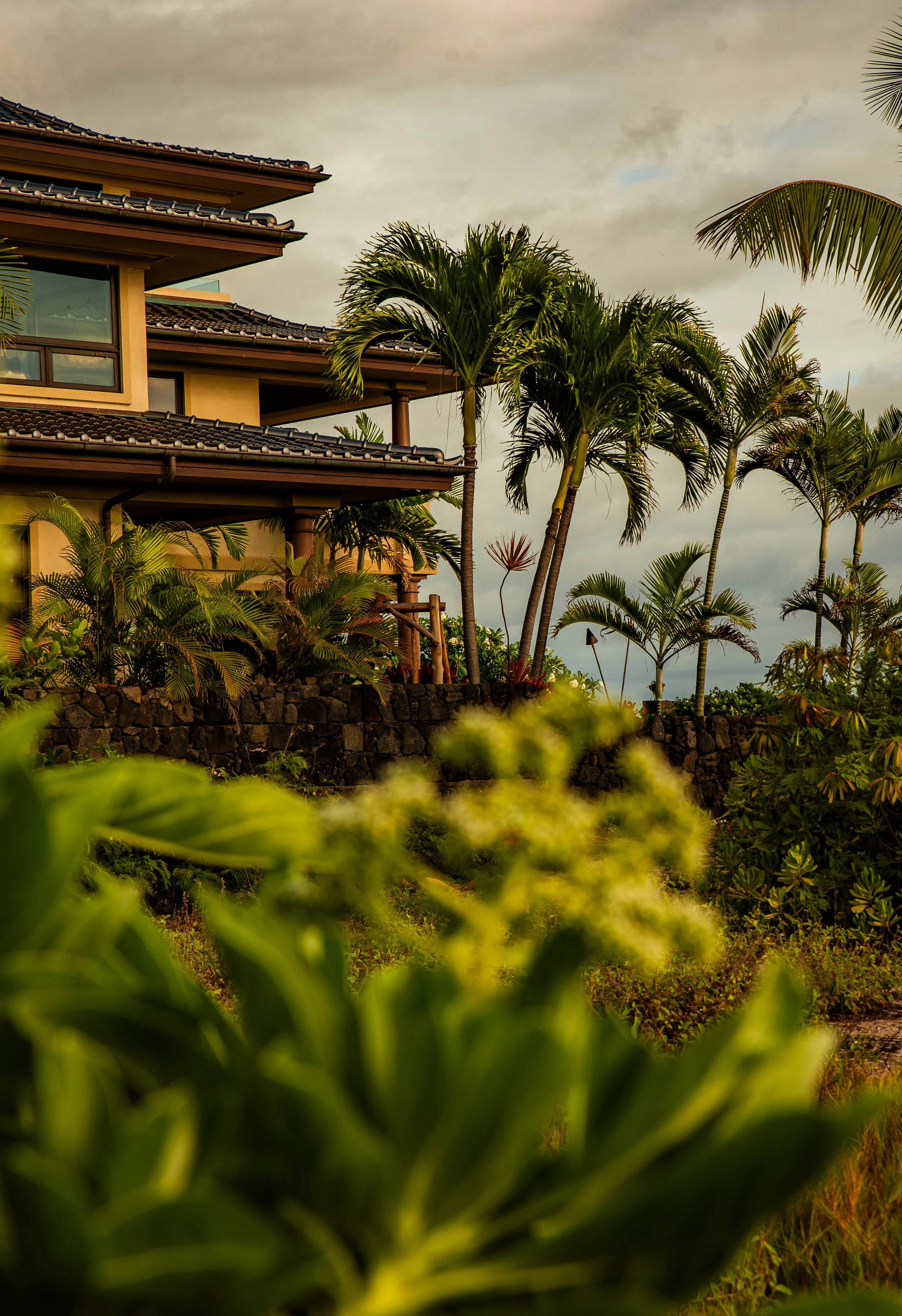 A tropical house surrounded by palm trees and lush greenery with a stone wall in front and cloudy sky overhead.