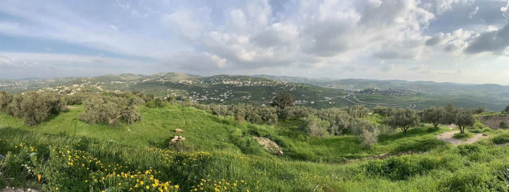 Palestine-panorama-e1562203799986.jpg