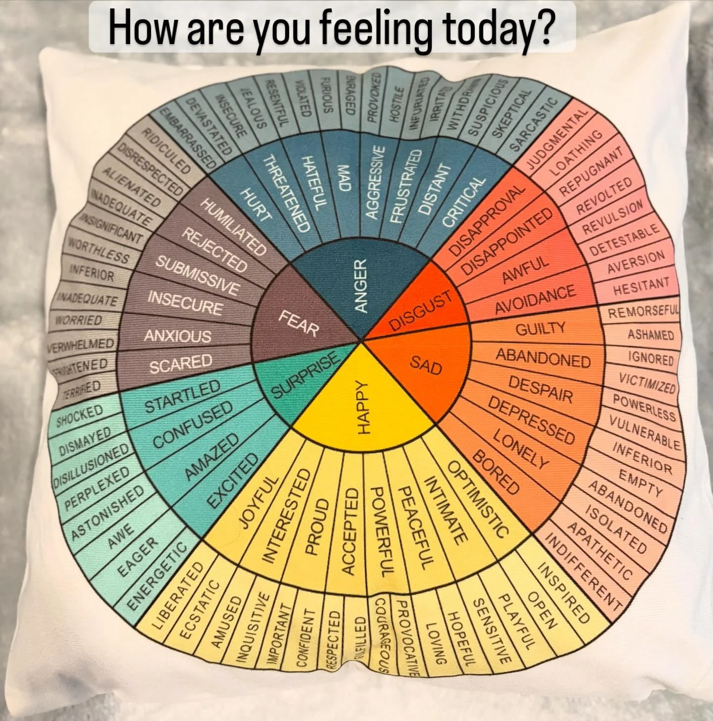 Our thoughts, emotions, and body sensations change from moment to moment. I&rsquo;ve lived the majority of my life thinking of only about 3 emotions like happy, mad or sad. I never had the words to describe what I was feeling. All I ever wanted to fe