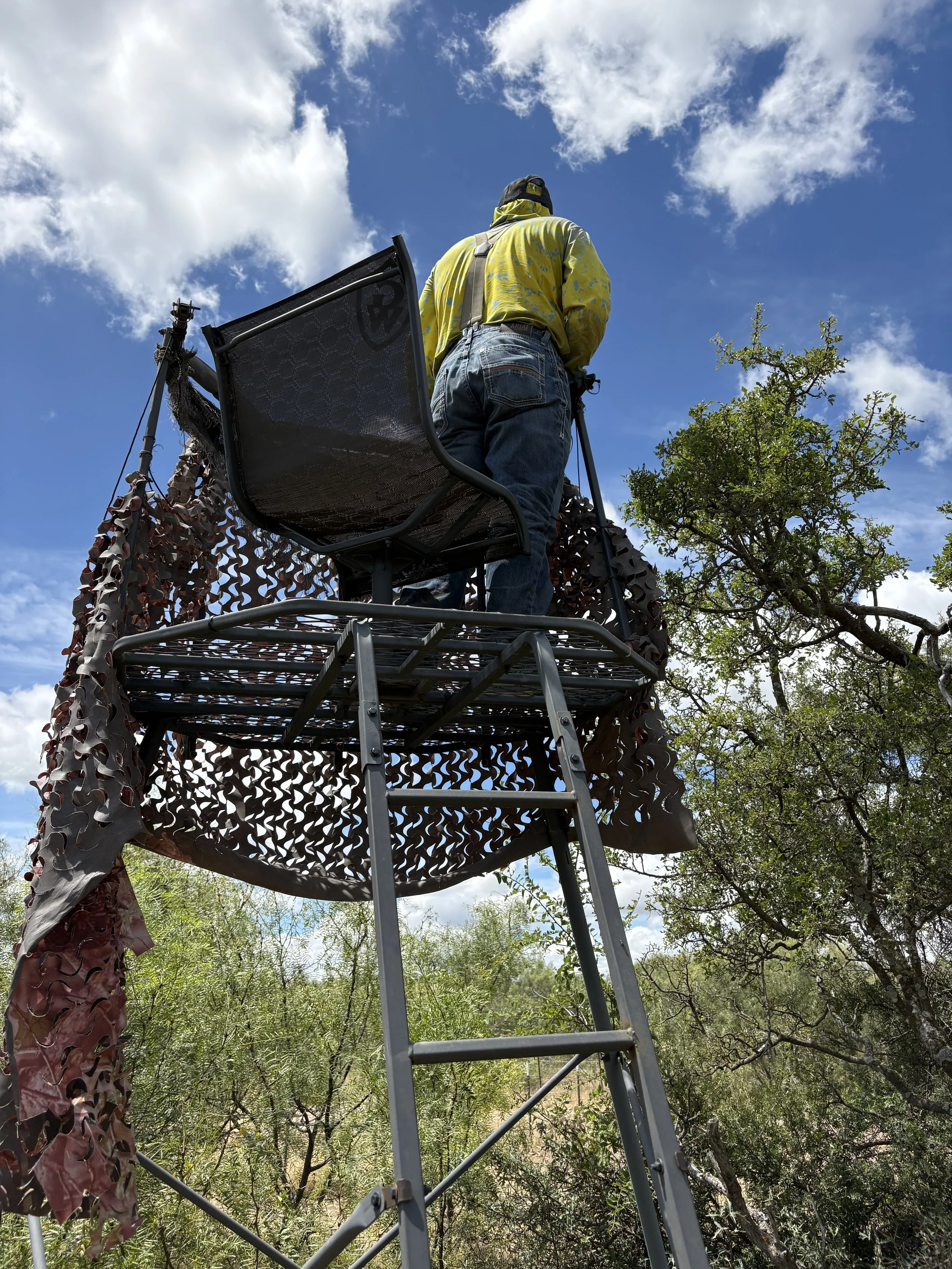Person standing on a tall hunting blind structure in a natural outdoor setting with trees and blue sky.