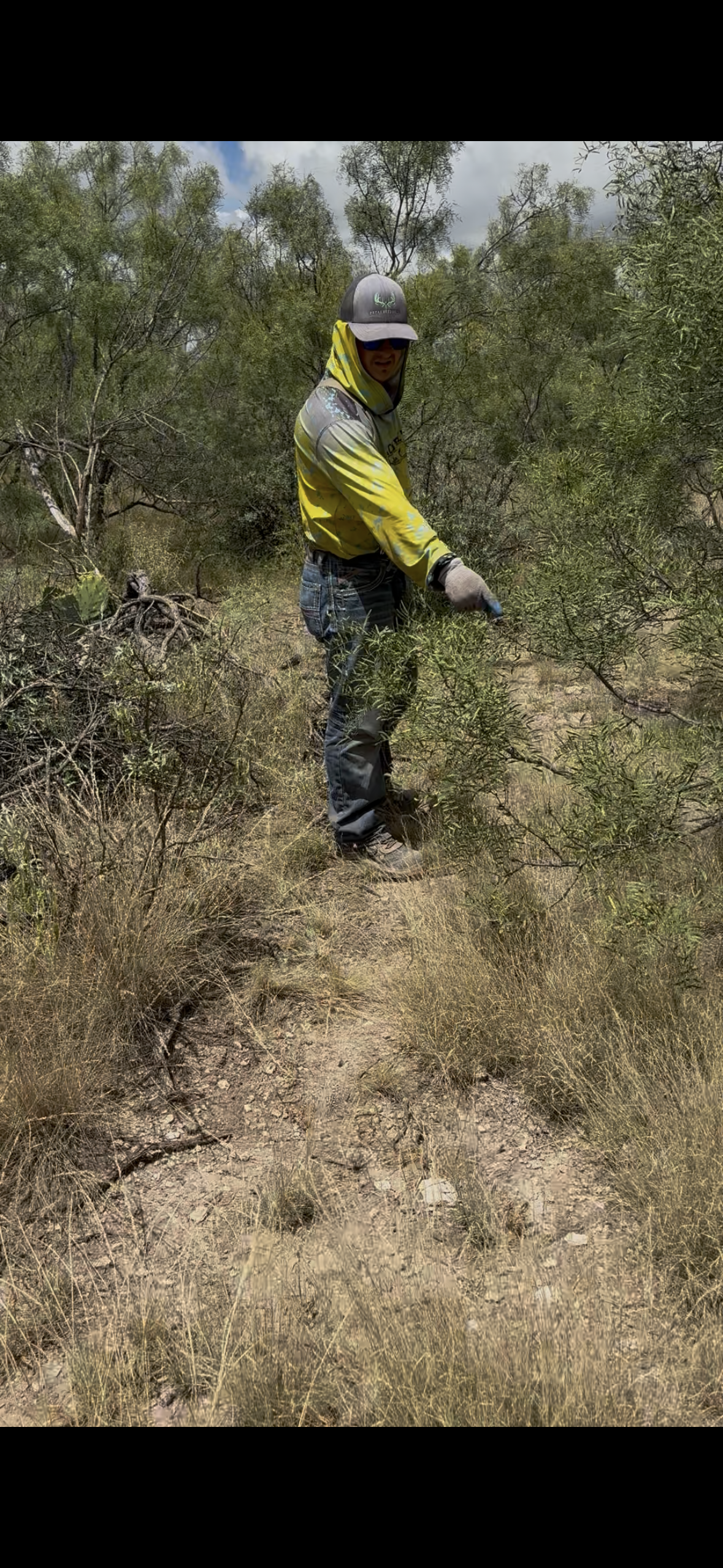 A person in outdoor clothing, including a gray hat, sunglasses, a yellow and gray jacket, and gloves, is standing in a grassy, bushy area, holding a small plant or shrub.
