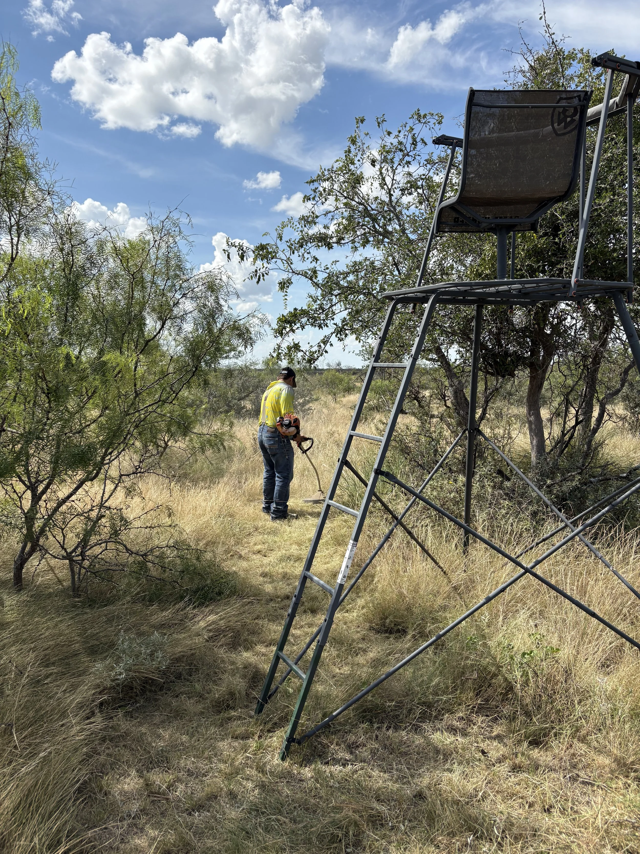 A person wearing a yellow safety vest and jeans is using a leaf blower in a grassy, brushy area with trees and bushes. A large metal ladder with a chair on top is in the foreground under a partly cloudy sky.