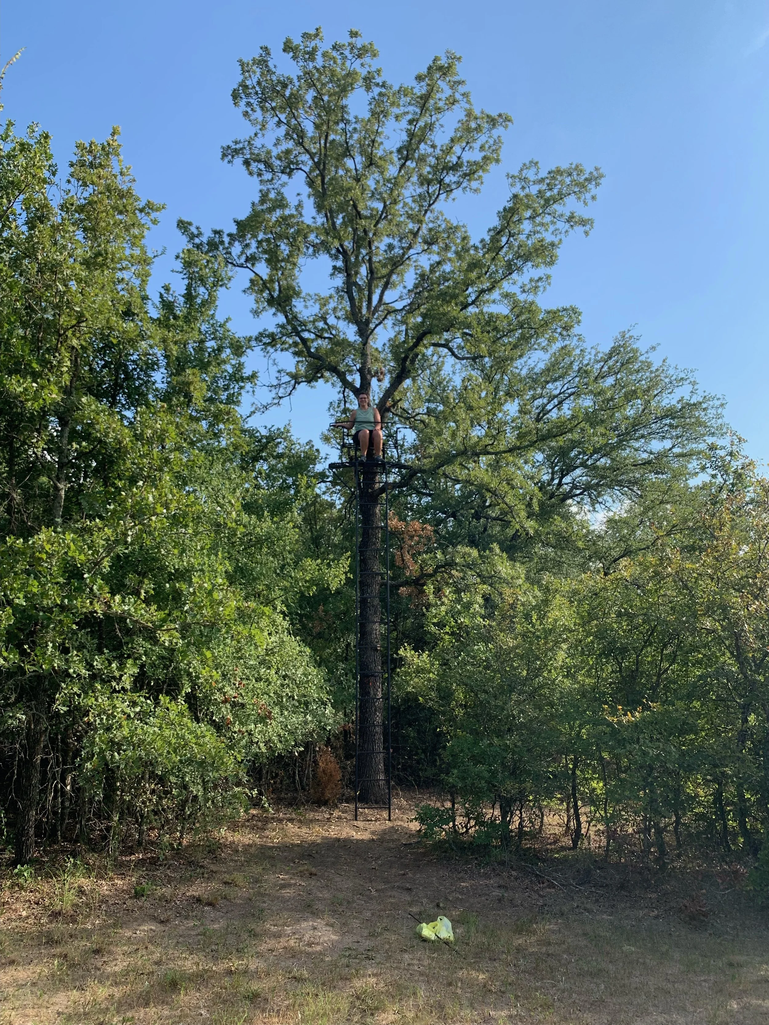 Person sitting on a tall metal observation tower in a wooded area, with a large tree behind and a clear blue sky above.