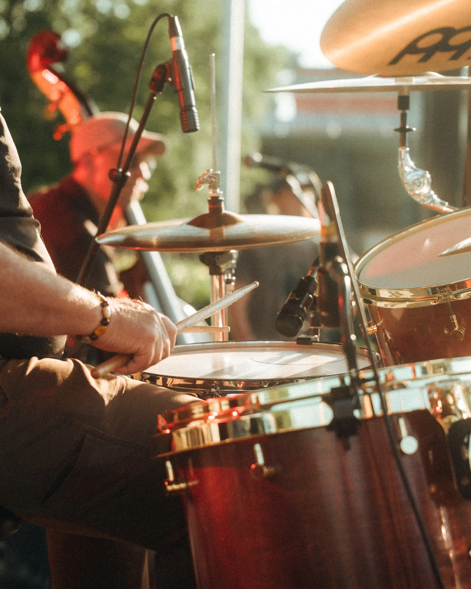 LSSI – Party in the Park