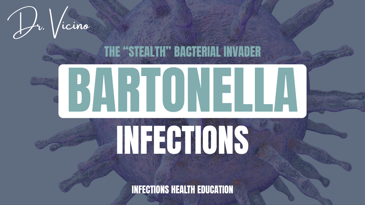 Bartonella Infections: The “Stealth” Bacterial Invader — Dr. Vicino