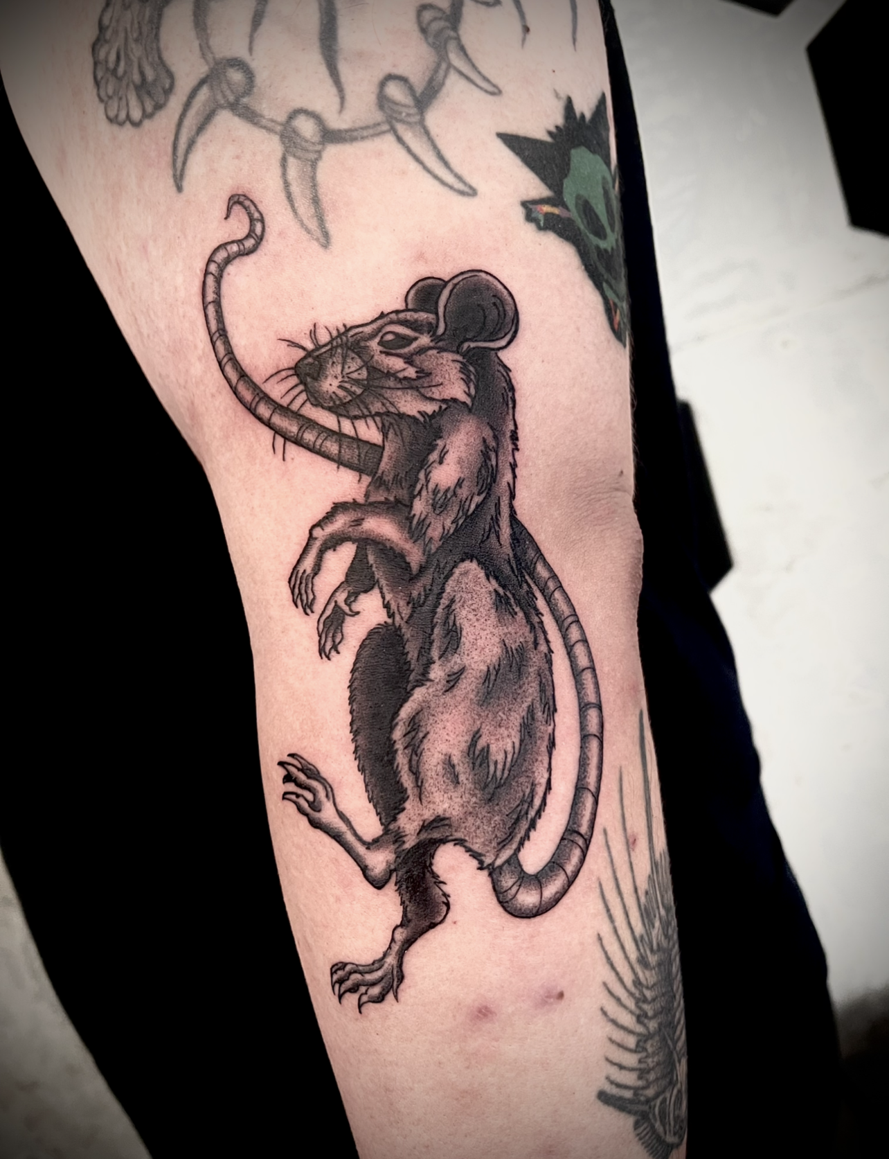 Rat-tattoo-y! (2025) - 3 hrs
