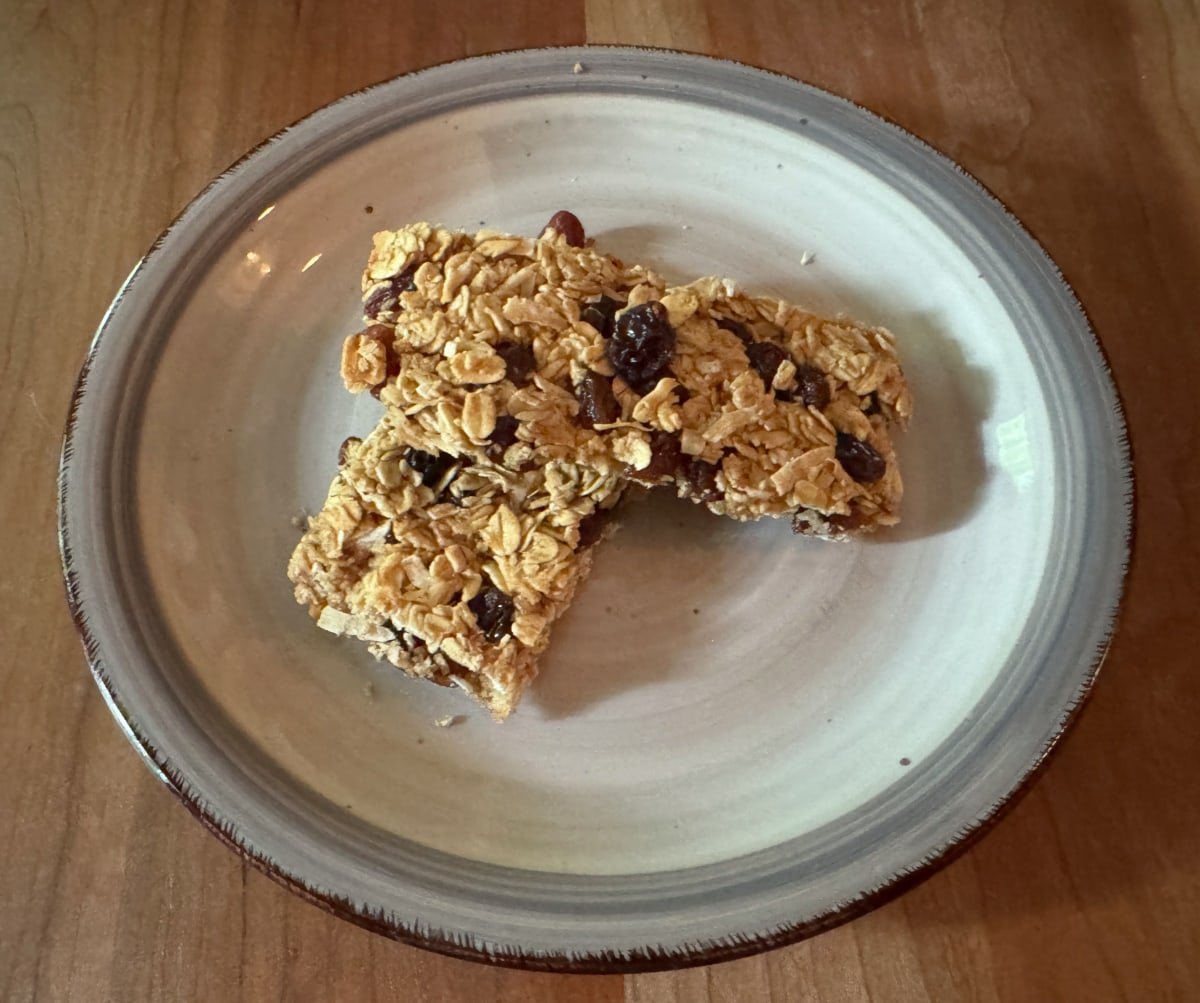 Crispy-Chewy Coconut Raisin Oat Bars